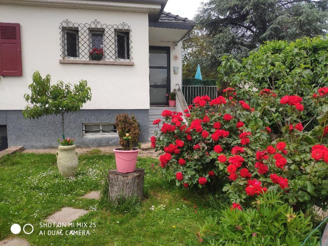 Colmar chambre privée chez l'habitant , près de l'hôpital Pasteur et gare Exterior foto
